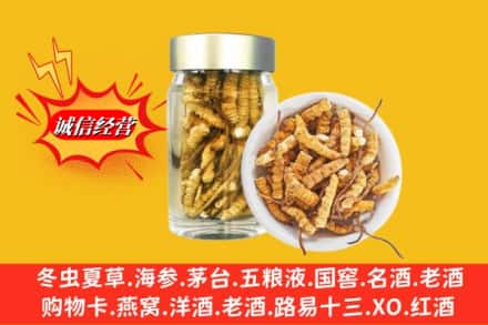 鄂尔多斯市回收散虫草