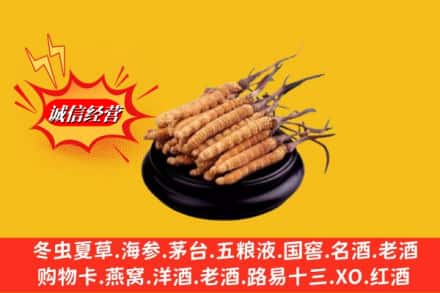 鄂尔多斯市名酒回收冬虫夏草.jpg